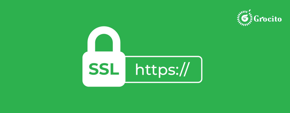 What is an SSL certificate? 