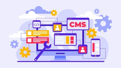 Custom Website Development Over a CMS?